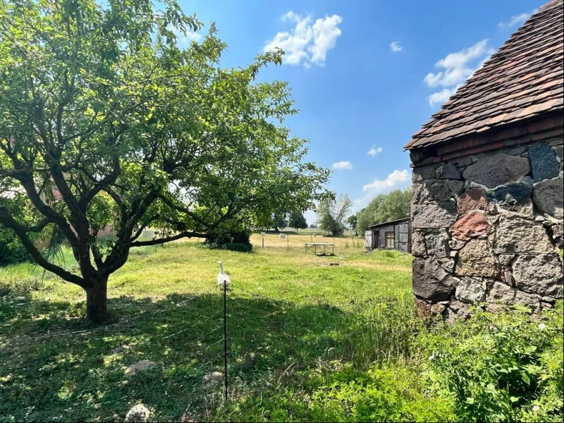 Blick auf die Koppel