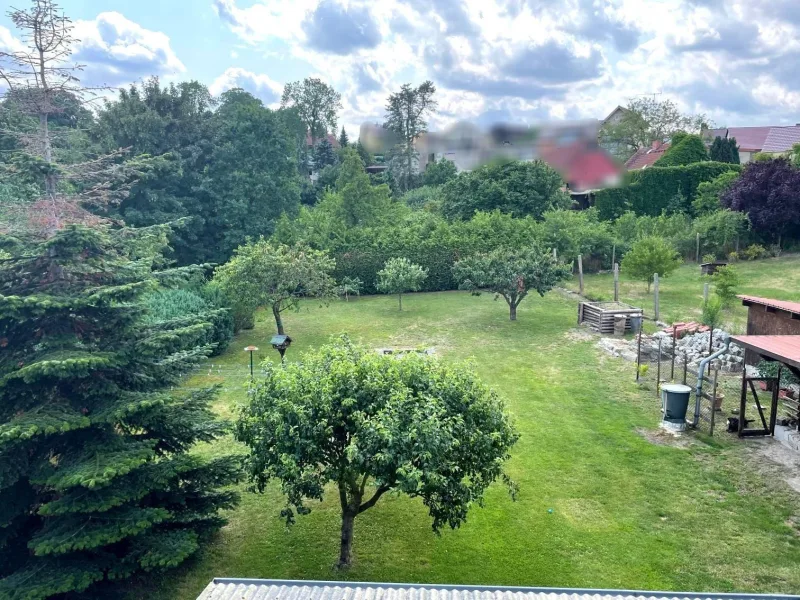 Gartenblick aus dem Dachfenster