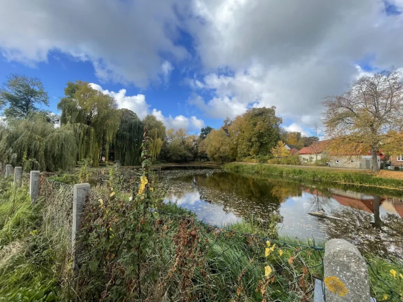 Grundstücksgrenze zum Teich