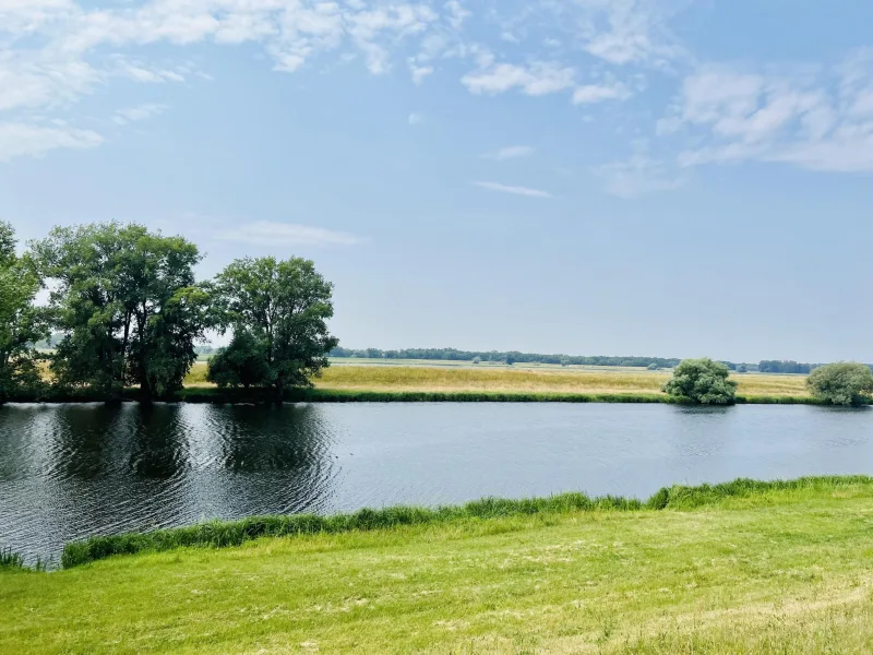 Im Hintergrund - die Elbe