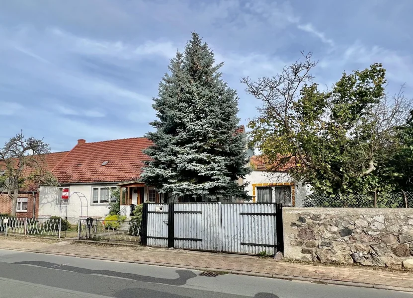 - Haus kaufen in Marienfließ - Wohnen auf dem Land: Bauernhof, Scheune, Stallgebäude