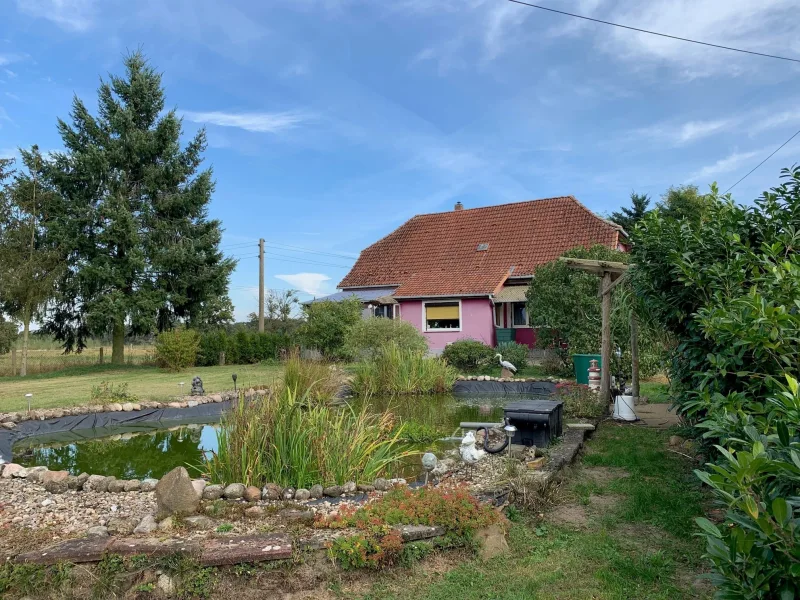 Ansicht - Haus kaufen in Grabow - In Alleinlage!