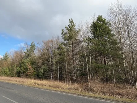 Straßenfront - Grundstück kaufen in Spremberg - Wald bei Spremberg