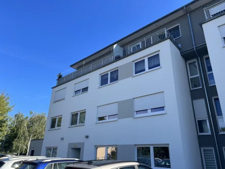 Ansicht Südwest - Wohnung mieten in Cottbus - Altersgerecht mit Terrasse in bester Lage