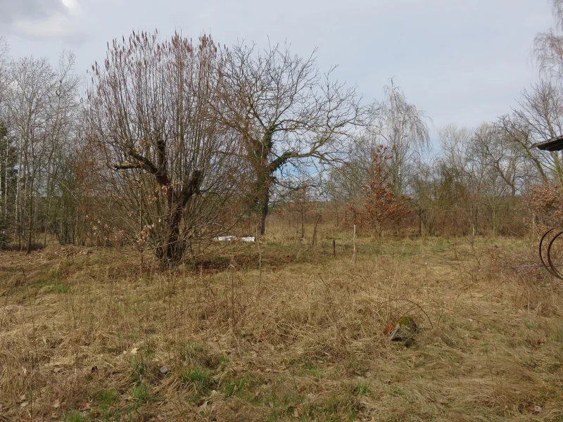 naturnahes Grundstück