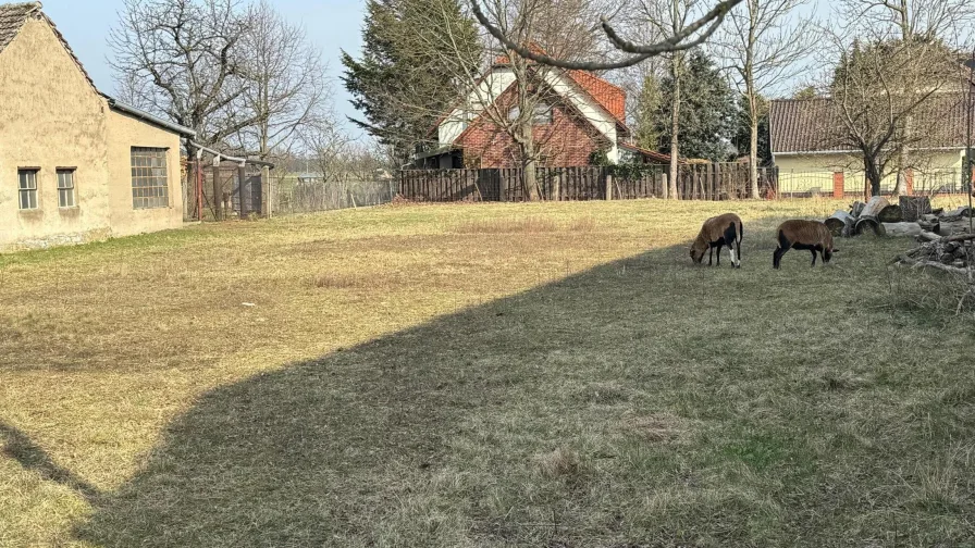 Straßenansicht - Grundstück kaufen in Peitz - Ihr zukünftiger Bauplatz in Peitz