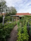 Garten unweit vom Haus