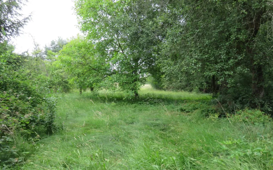 naturbelassenes Grundstück