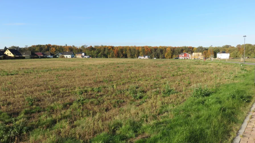 Blick über Baugebiet - Grundstück kaufen in Spremberg - Bauen am grünen Stadtrand