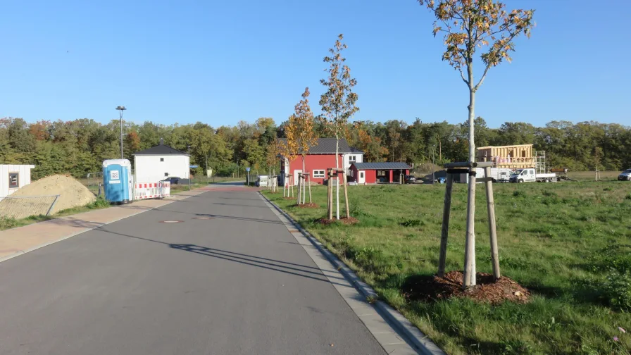 Straße bereits vorhanden - Grundstück kaufen in Spremberg - Bauen am grünen Stadtrand