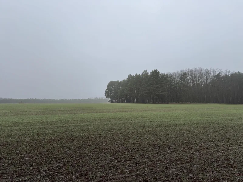 weitere Ansicht Ackerfläche