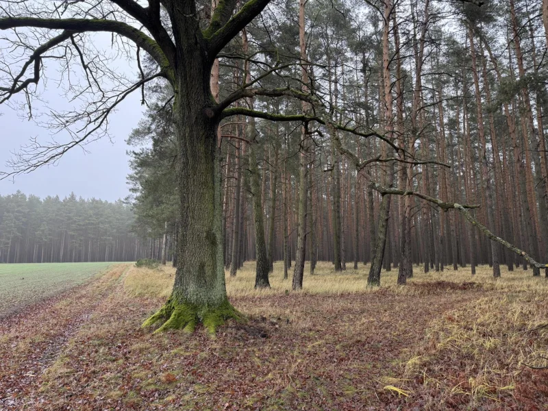 Schönes Fleckchen Erde