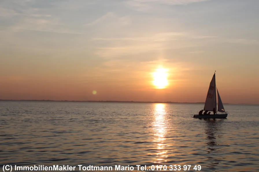 Abendstimmung am Haff - in wenigen Minuten erreichbar