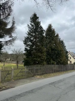 Einfahrt / Vorderansicht - Grundstück kaufen in Oelsnitz - Sonnenplatz für Ihr neues Zuhause!