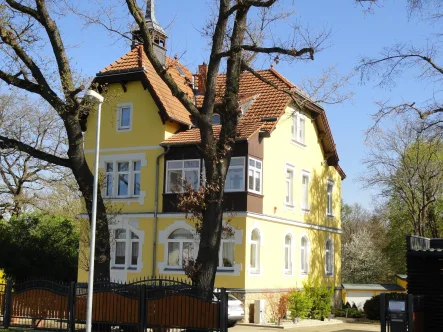 seitliche Sicht - Haus kaufen in Plauen - Grüne Oase mit Stil.