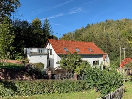 Hausansicht - Haus kaufen in Pöhl - Einfamilienhaus in schöner  Lage !