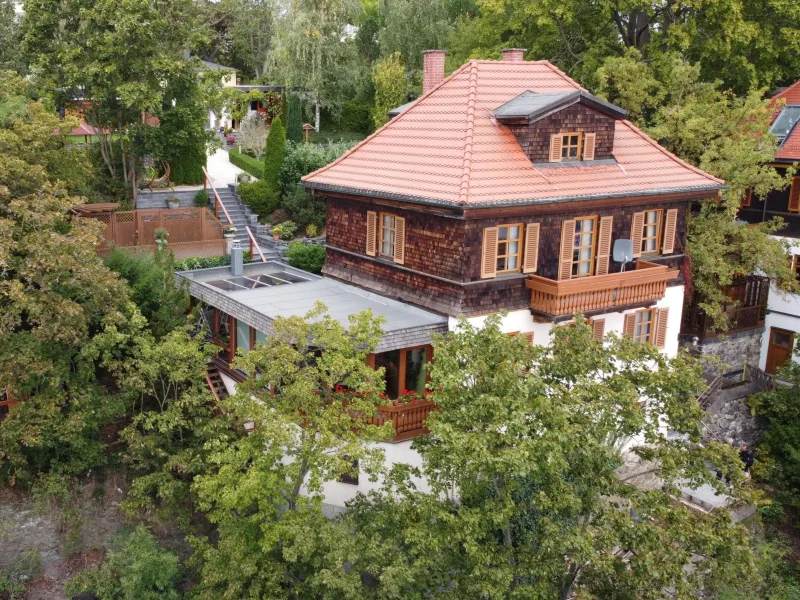 Außenansicht - Haus kaufen in Plauen - Einzigartige Stadtvilla! Traumgarten!