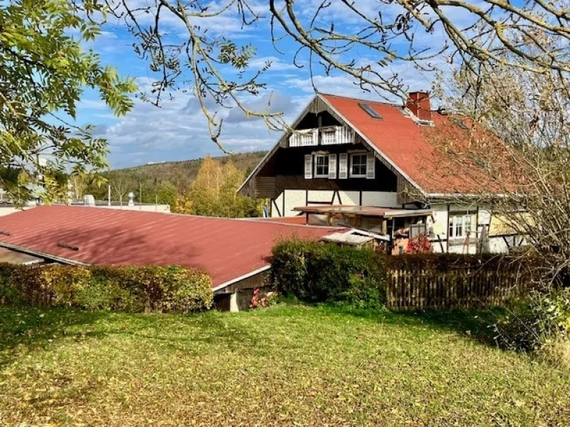 Titelbild - Halle/Lager/Produktion kaufen in Rodewisch - Firmen-Domizil UND Familien-Idyll