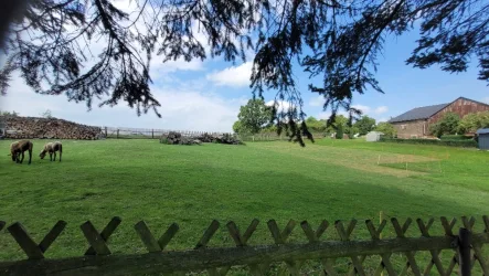 Aussicht nach hinten  - Haus kaufen in Langenbach - Landidylle pur in Langenbach / Vogtl.!