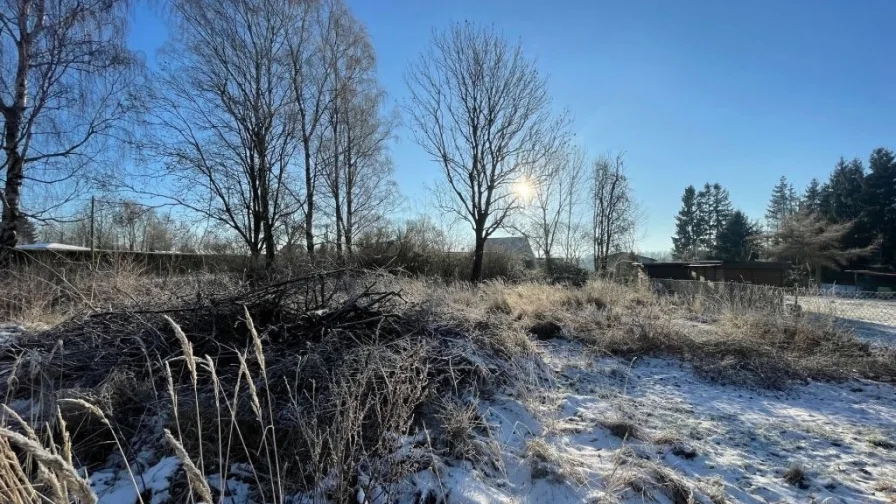 Grundstück - Grundstück kaufen in Süderholz - Sträucher weg, Baumaschinen los