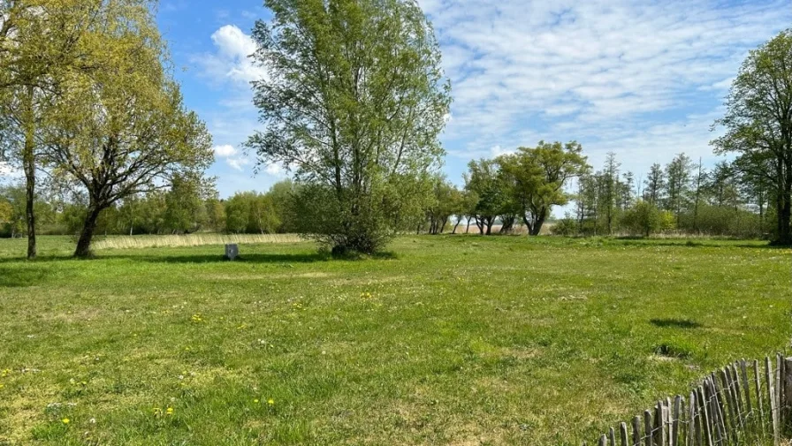 Grundstück - Grundstück kaufen in Dierhagen - Vorne Ostsee, hinten Bodden - Ihr Platz 