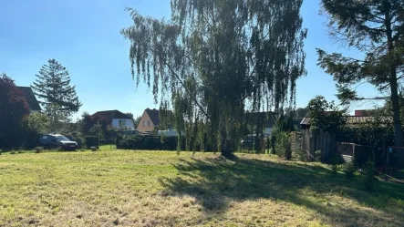 Grundstück 2 - Haus kaufen in Ribnitz-Damgarten - Haus mit zusätzlichem Bauerwartungsland