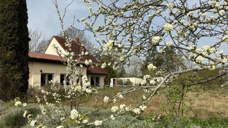 Startbild - Grundstück kaufen in Fuhlendorf - Groß, grün und Platz für Ihre Ideen!