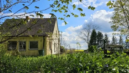 Titelbild - Haus kaufen in Tribsees - Das ist was für Weitsichtige