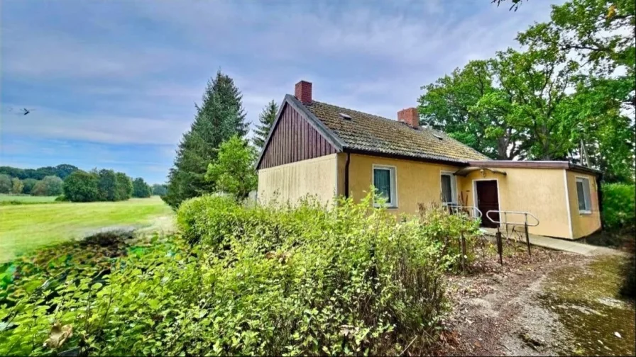 Außenansicht - Haus kaufen in Velgast - Entdecken Sie das Potenzial