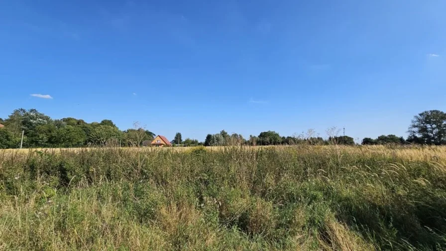 Ausblick vom Garten