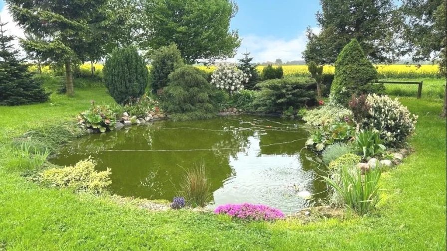 Gartenteich am Feldrand