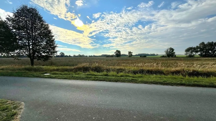 Blick auf das Feld