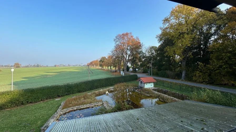 Grundstück mit Teich