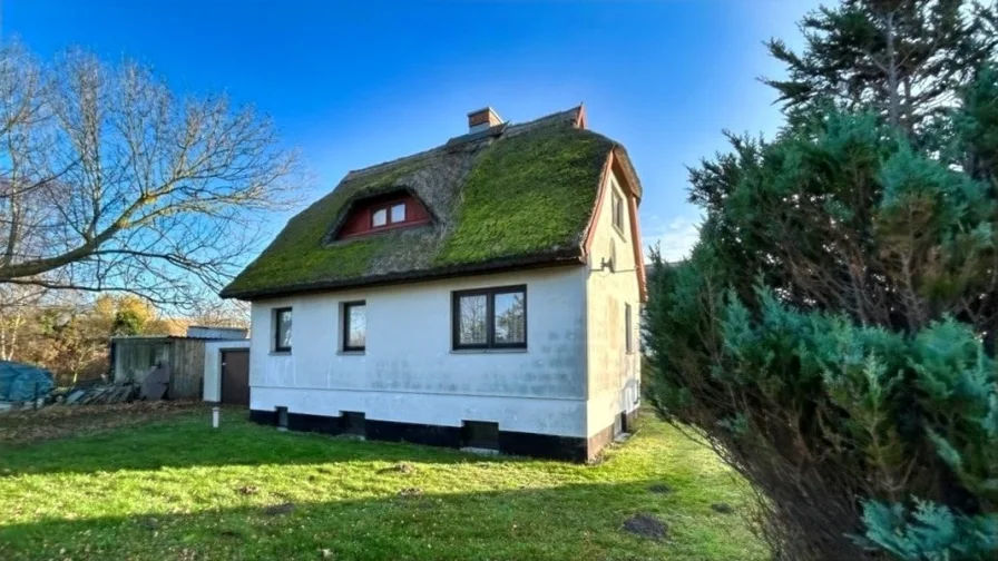 Außenansicht - Haus kaufen in Ostseebad Ahrenshoop - Fischlandhaus unter Reet