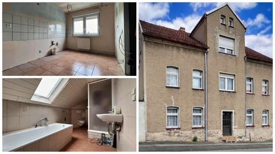 Collage - Haus kaufen in Wilkau-Haßlau - Mit Fleiß und Geschick zum Häusleglück