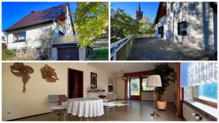 Collage - Haus kaufen in Wilkau-Haßlau - Terrassenkönig gesucht!