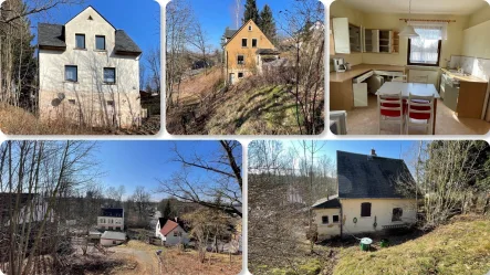 Collage2 - Haus kaufen in Werdau - Ein-/Zweifamilienhaus in Werdau