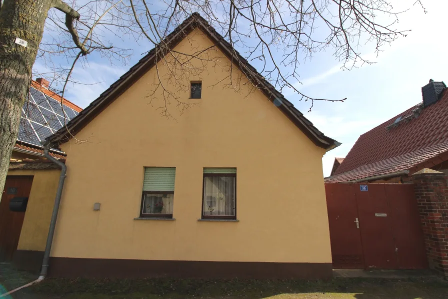 Straßenansicht - Haus kaufen in Dessau-Roßlau - Reduziert!!! Handwerker aufgepasst!!!