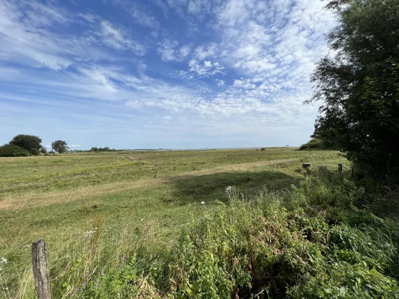 Unverbaubarer Blick auf die Schlei