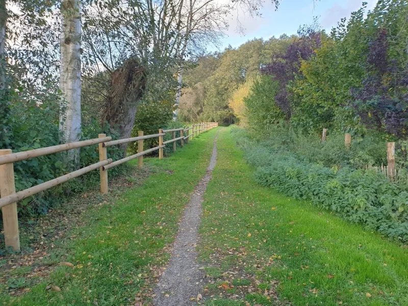 Weg zur Badestelle am Großen Plöner See