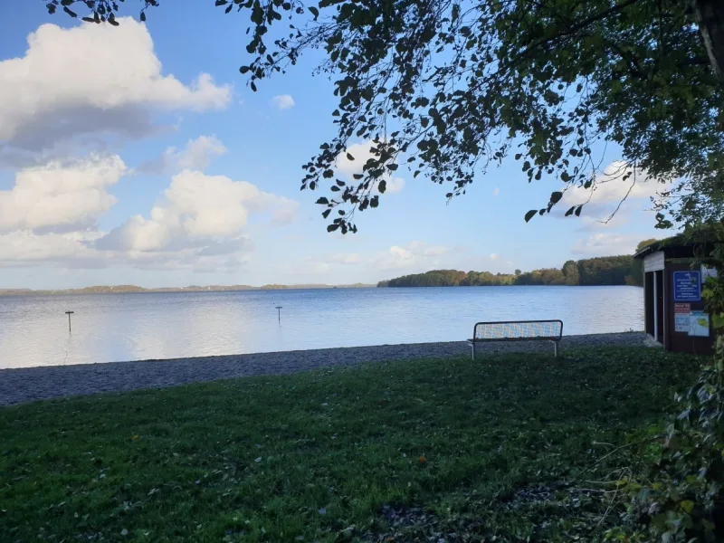 Badestelle am Großen Plöner See