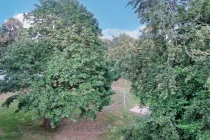 Blick aus dem Kinderzimmer