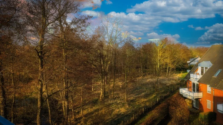 Blick vom Balkon