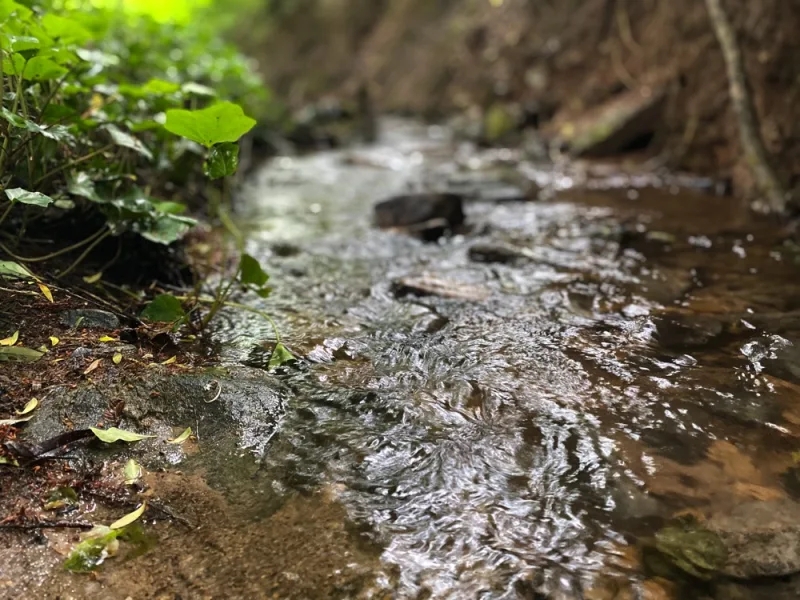 BAch Bild 2 - Grundstück kaufen in Esslingen - Freizeitgrundstück mit Hütte, Wald und Bachzugang Hegensberg