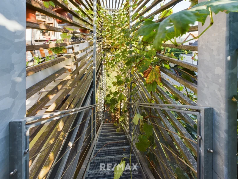 Treppe von Terrasse zu Garten