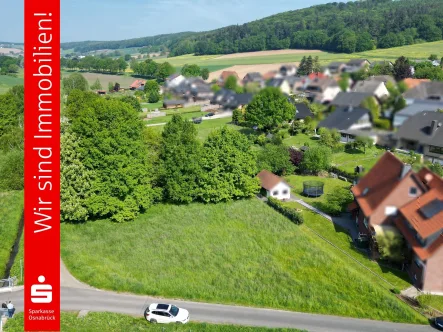 Frontansicht Grundstück mit Baumbestand - Grundstück kaufen in Preußisch Oldendorf - Hier ist einiges möglich - Ein Traumgrundstück !  