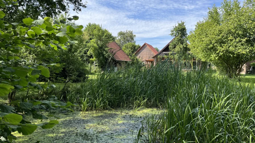 Teich im Garten 