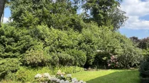 Garten mit Blick auf den Wald