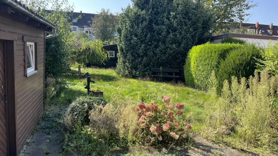 Blick in den Garten