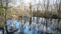 Wald, Erholungsfläche, See